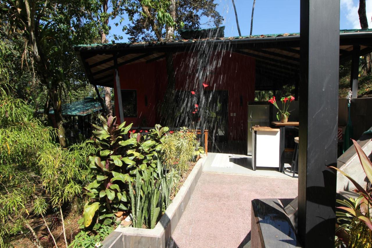 Oasis De Las Palmas Ojochal Esterno foto
